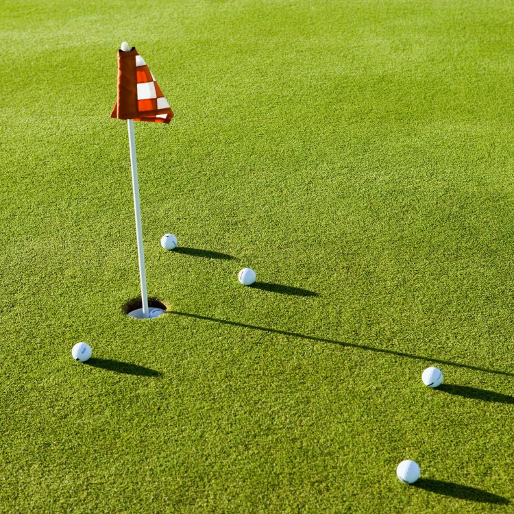 Pavers and turf in Frisco, TX